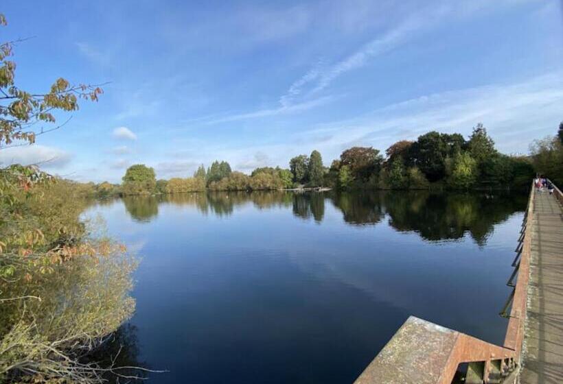 פנסיון One Home