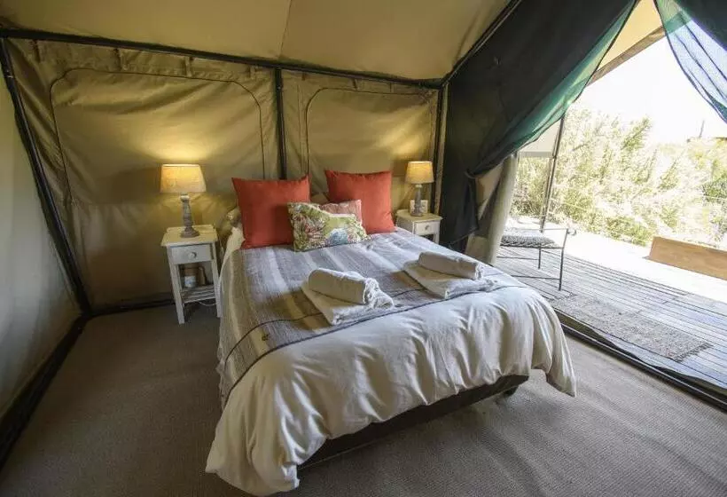 تختخواب و صبحانه Le Petit Karoo Ranch