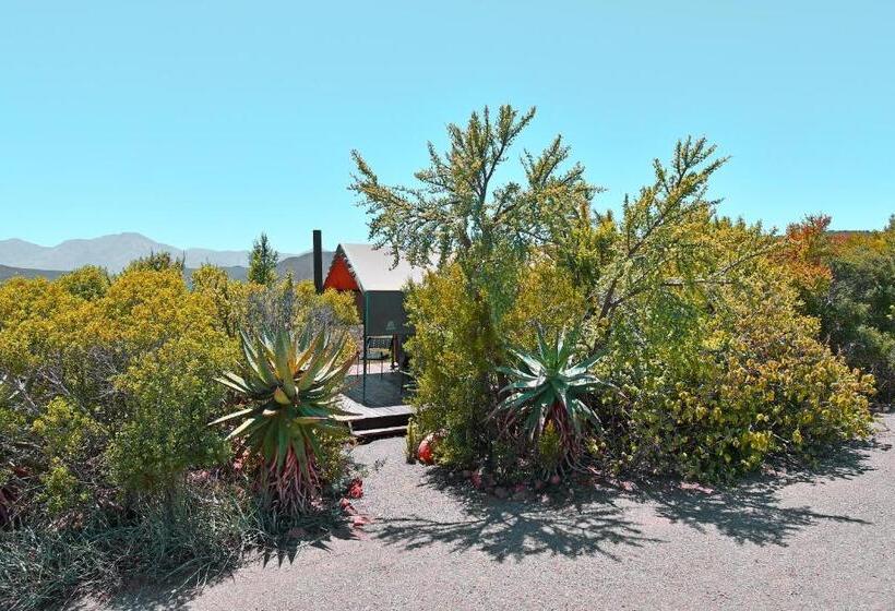 צימר Le Petit Karoo Ranch