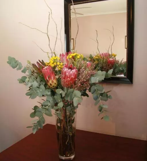 Aamiaismajoitus (B&B) Queen Manor Boutique Guest House