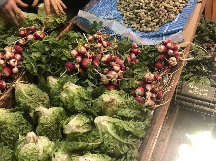 住宿加早餐 Riad Family Samnoun