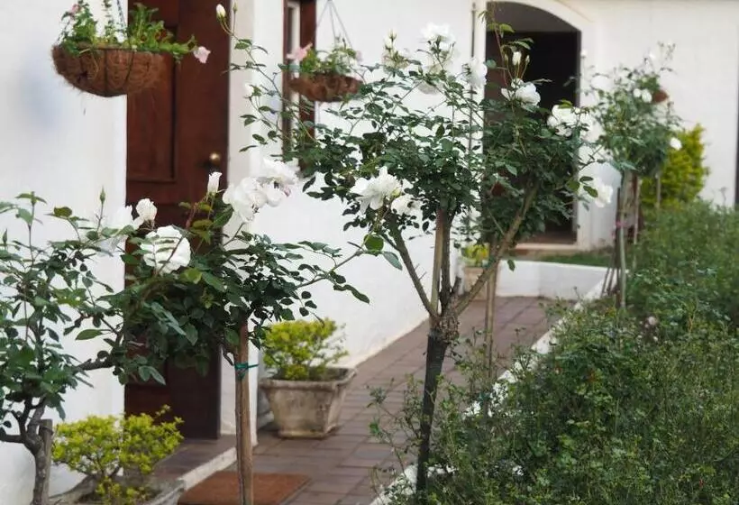 Caladdi Bed And Breakfast