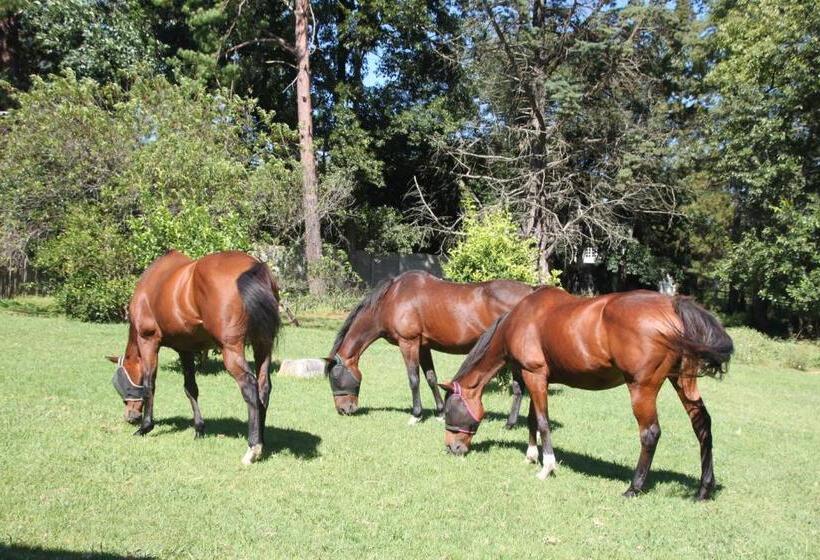 Caladdi Bed And Breakfast