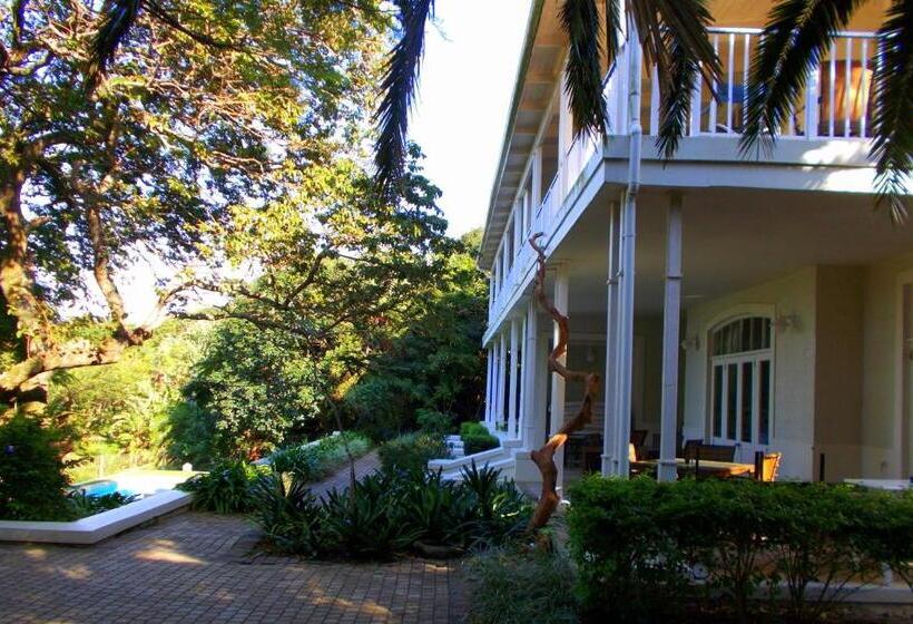 Coral Tree Colony Bed & Breakfast