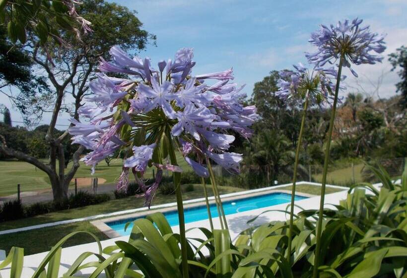 Coral Tree Colony Bed & Breakfast