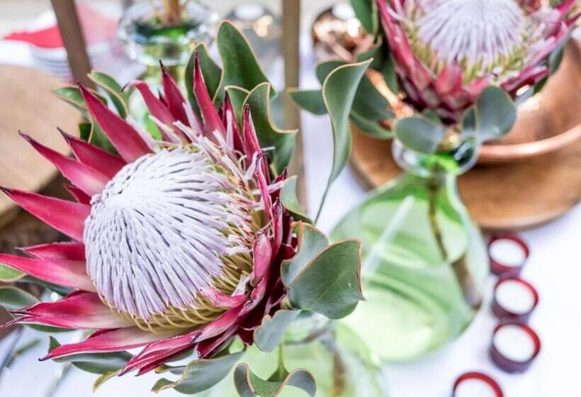 בית מלון כפרי Kimberley Anne