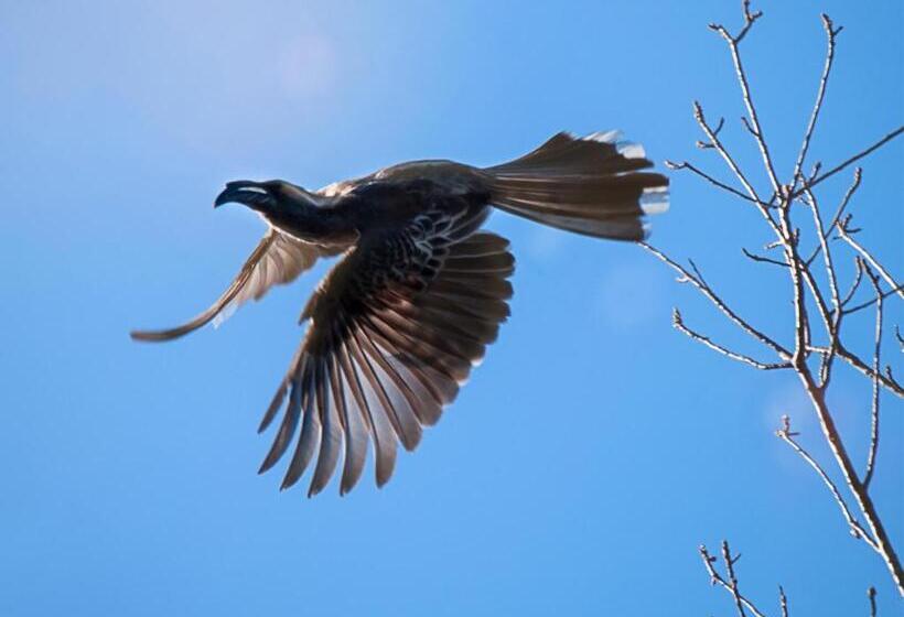 Hotel Kloofzicht Lodge & Spa