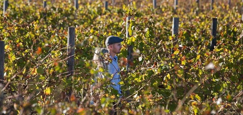 ホテル La Residence