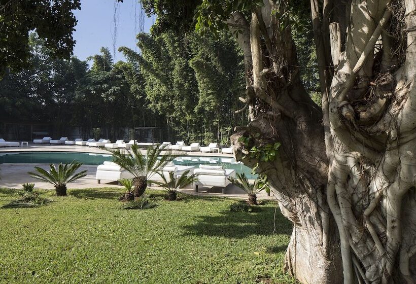 호텔 Le Sphinx Boutique Hôtel