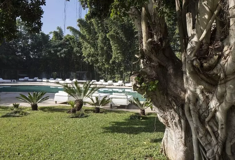 هتل Le Sphinx Boutique Hôtel