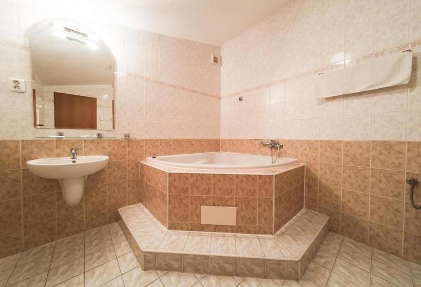 בית מלון כפרי Penzion Atlas