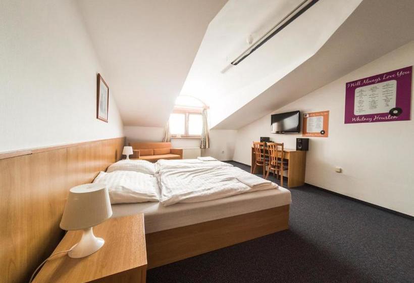 בית מלון כפרי Penzion Atlas