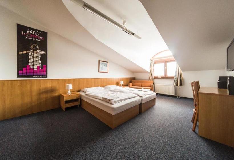 בית מלון כפרי Penzion Atlas