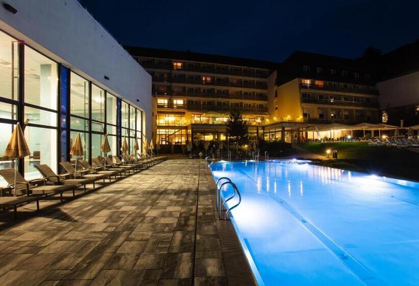 בית מלון כפרי Sitno Forest Resort