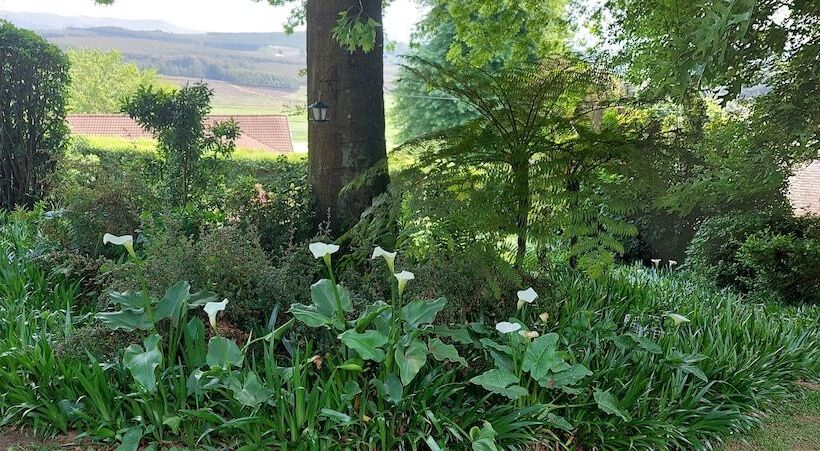 Kings Hill Bed And Breakfast