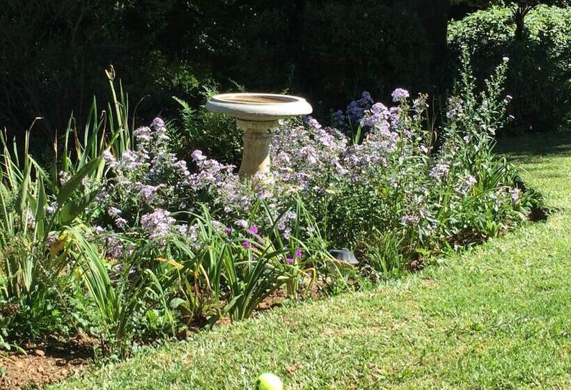 Kings Hill Bed And Breakfast