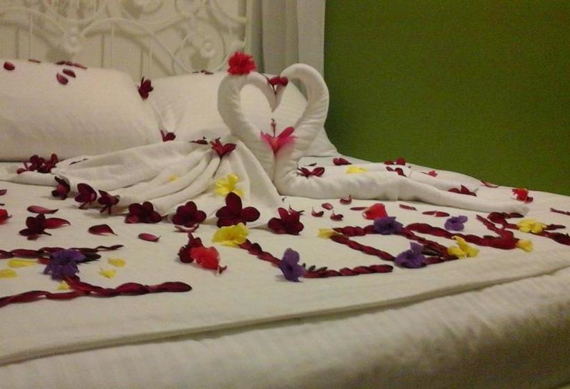 מוטל Cattleya Inn