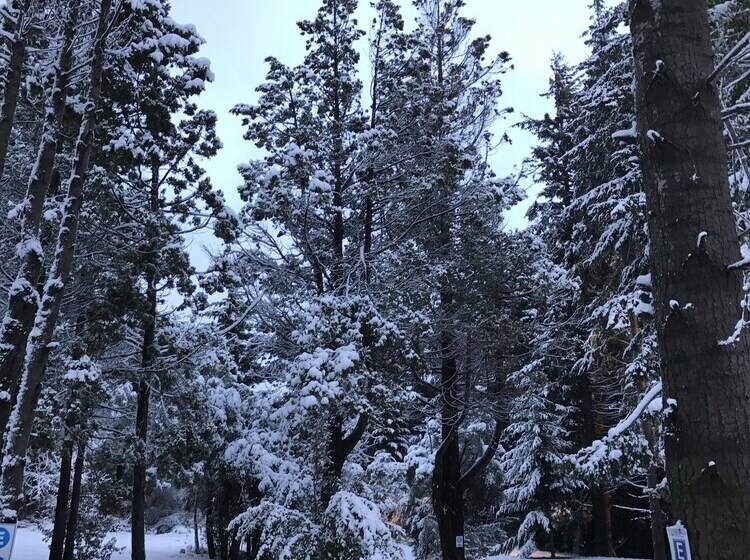 هتل Huinid Bustillo Cabañas