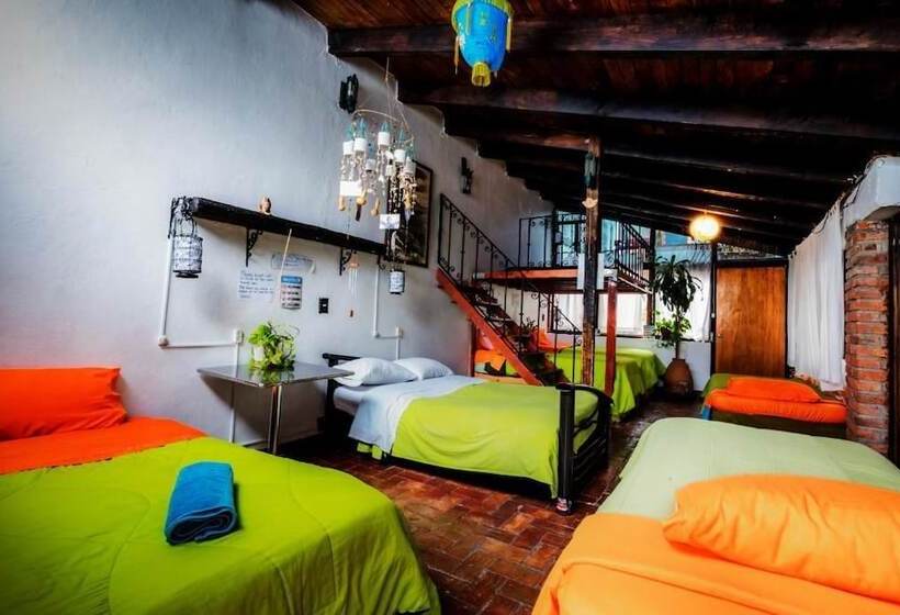Hostel Mexico Df Airport