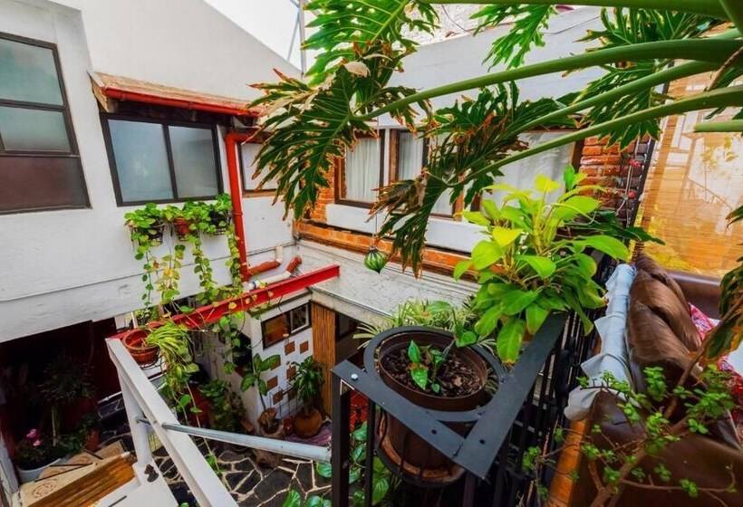 Hostel Mexico Df Airport