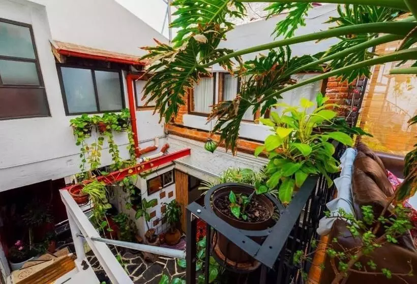 Hostel Mexico Df Airport