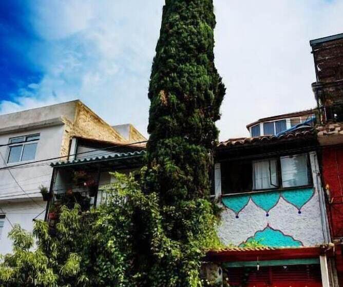 Hostel Mexico Df Airport