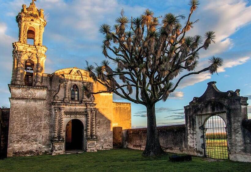 בית מלון כפרי Azucena