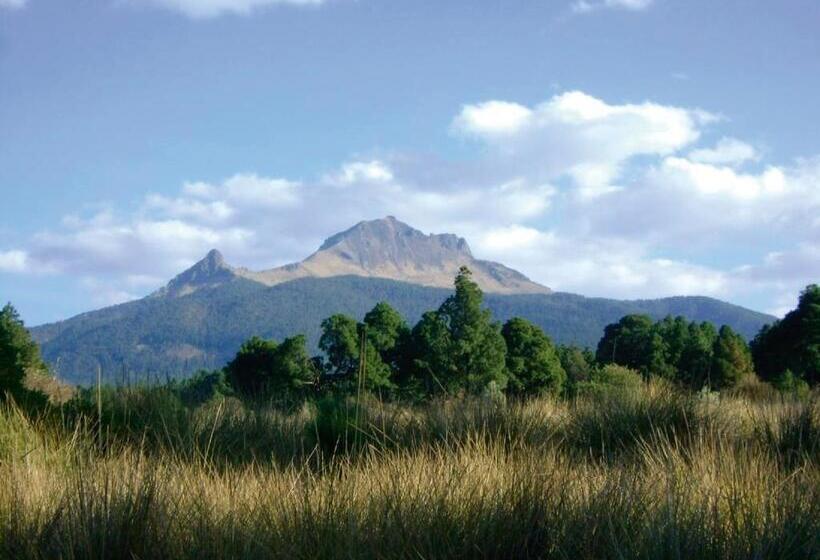 בית מלון כפרי Azucena