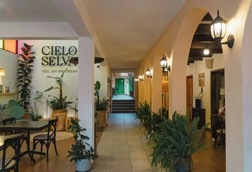 ホテル Cielo Y Selva, San Cristobal De Las Casas