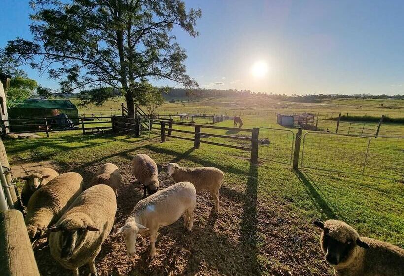 ホテル Clandulla Cottages & Farmstay