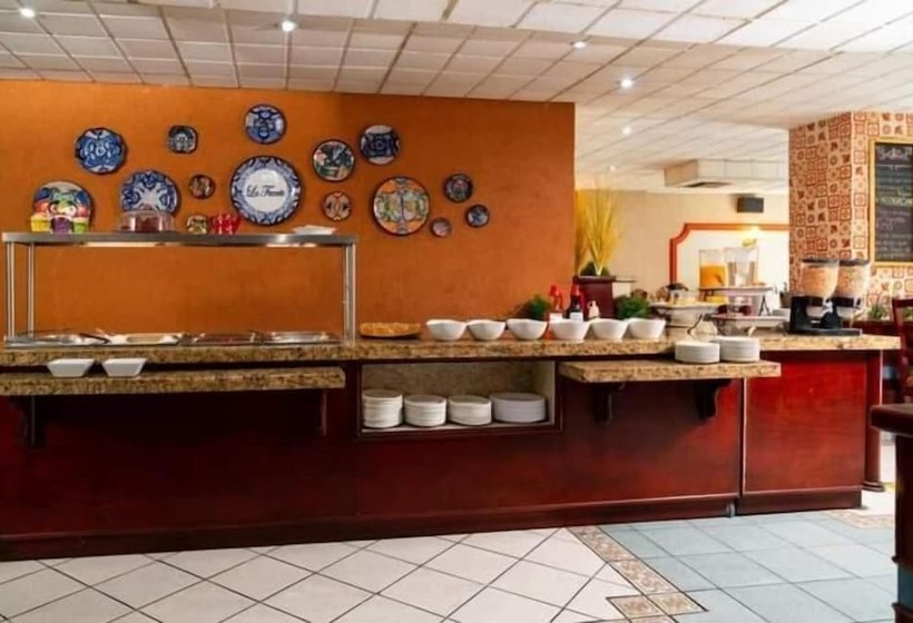 Отель Feria Jalisciense