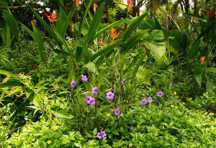 فندق Junto Al Rio Bungalows & Suites