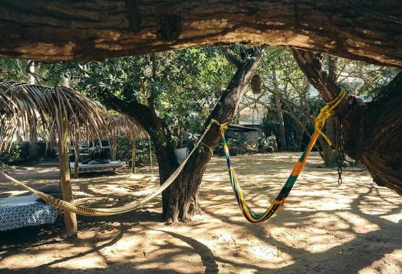 ホテル Junto Al Rio Bungalows & Suites