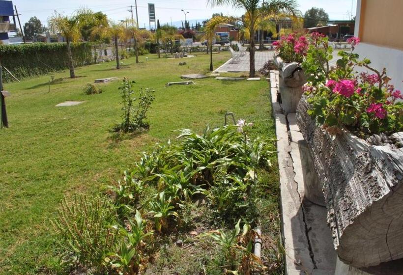 Отель San Miguel Penjamo