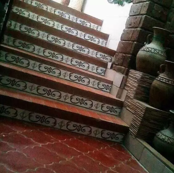 هتل Terranova Tampico