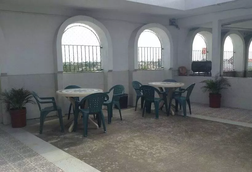هتل Terranova Tampico