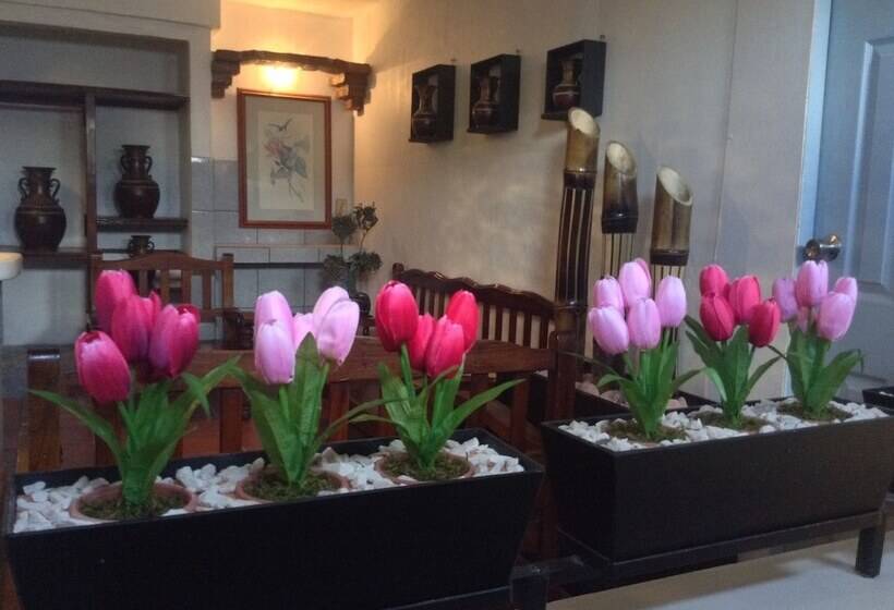 فندق Terranova Tampico