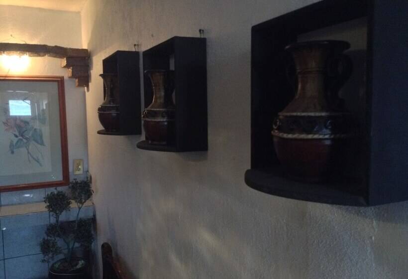 فندق Terranova Tampico