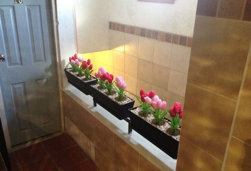 فندق Terranova Tampico