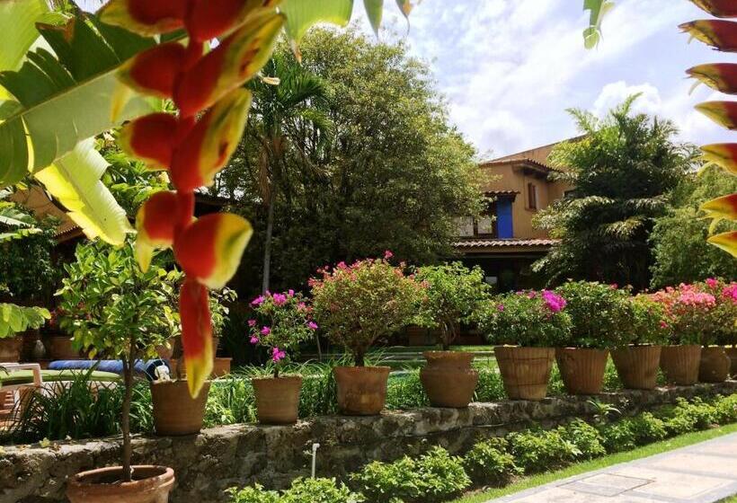 Orchidelirium Casa Hotel & Salud Estética