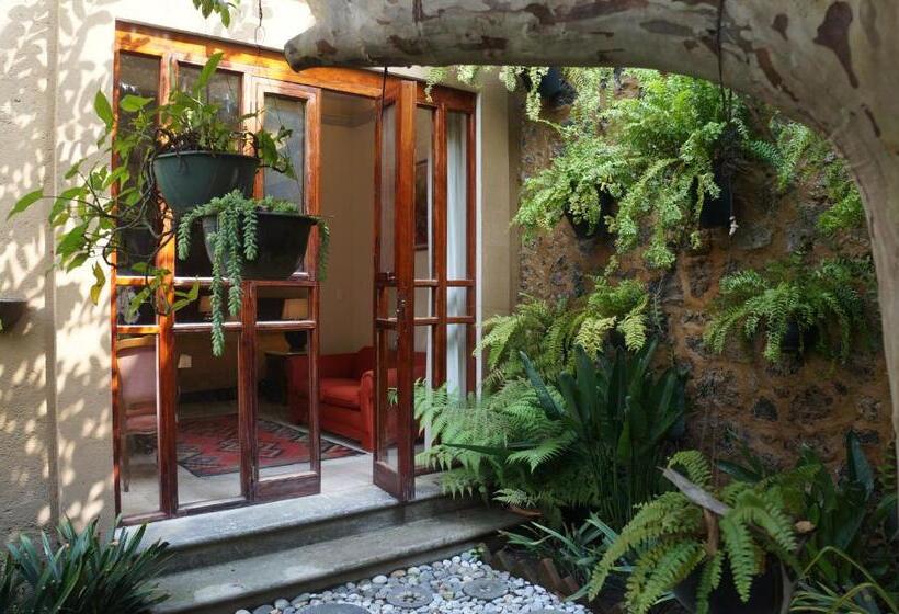 Orchidelirium Casa Hotel & Salud Estética