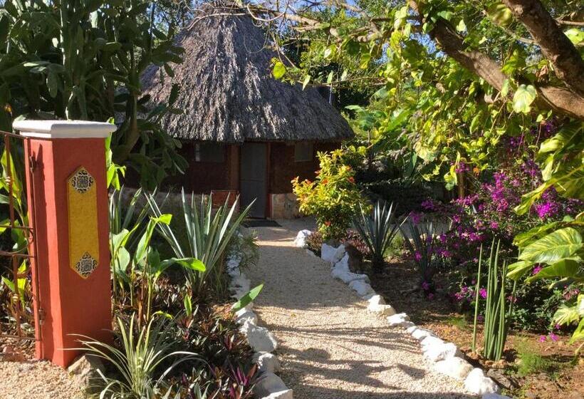 The Pickled Onion Eco Boutique B&b