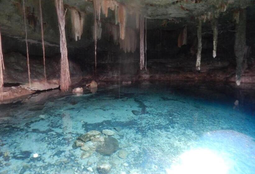 The Pickled Onion Eco Boutique B&b