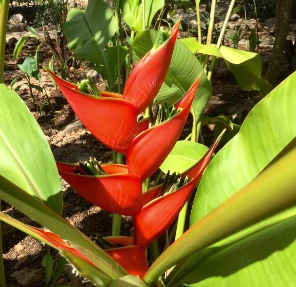 The Pickled Onion Eco Boutique B&b