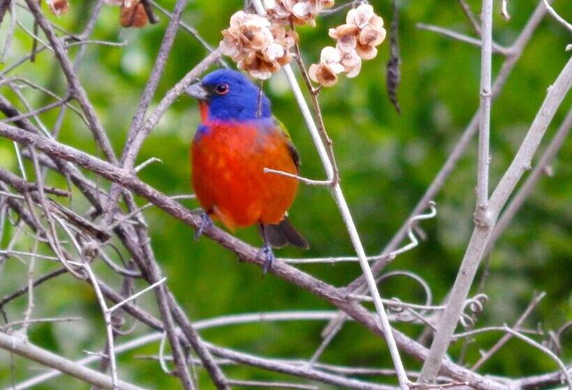 The Pickled Onion Eco Boutique B&b