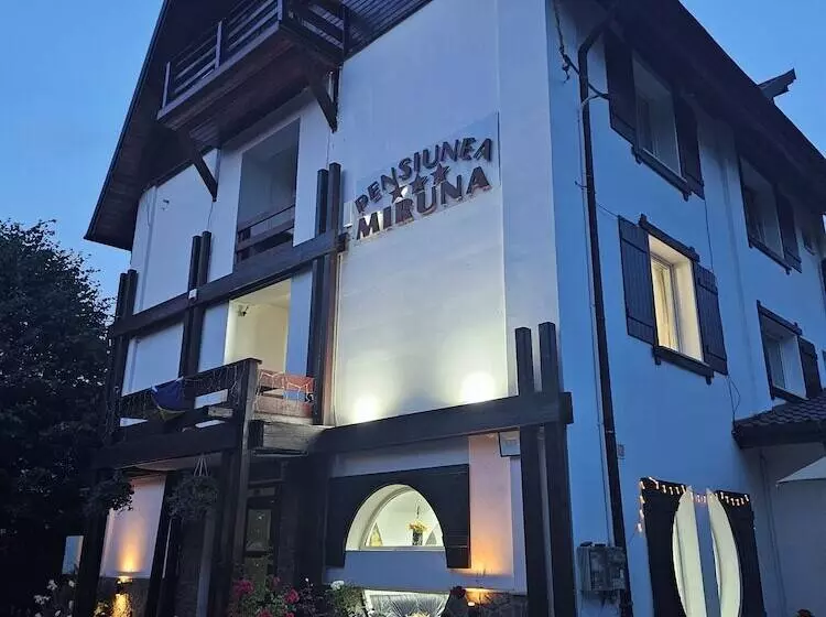 Pensiunea Miruna