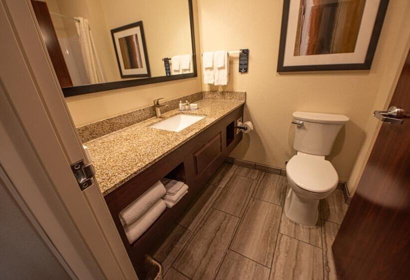 Отель Cobblestone Inn & Suites   Julesburg