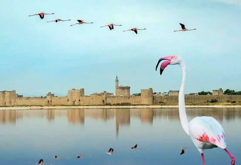 ペンション La Peniche   Bed And Bicycle   Aigues Mortes