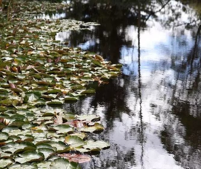 Stayau 1br Rustic Picturesque Cottage