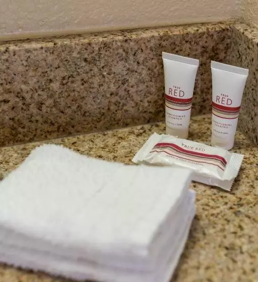 ホテル Sacramento Inn & Suites